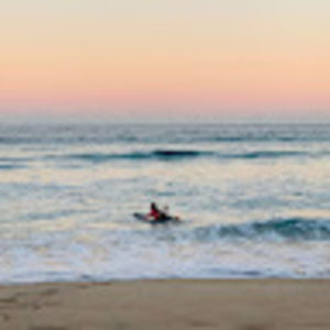 Meet your Posher, Willow